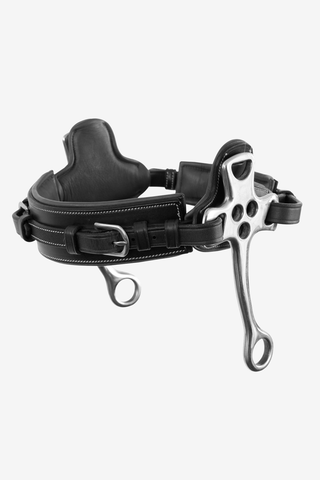 Trust Hackamore