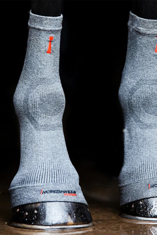 Circulation Horse Socks