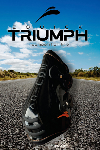 Triumph Bagbensgamacher