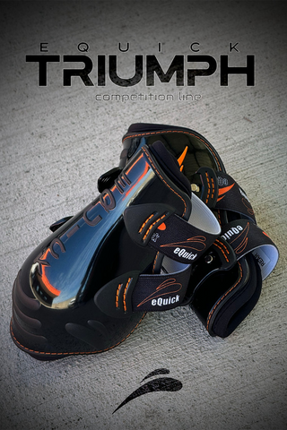 Triumph Bagbensgamacher