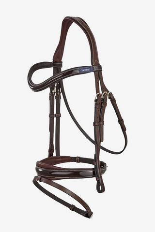 Evolution Bridle