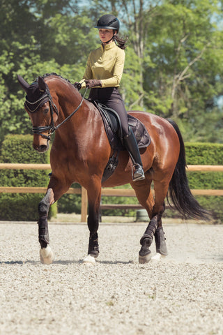Breeches Full Grip Heritage AW25 Black Truffle
