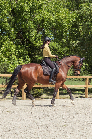 Breeches Full Grip Heritage AW25 Black Truffle