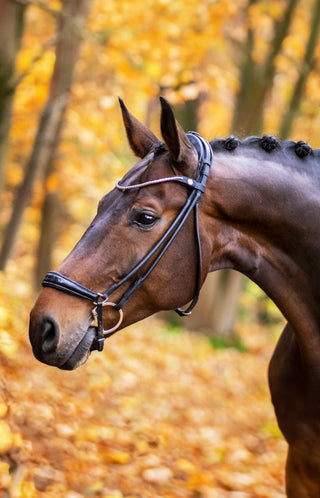Bridle Remont Noseband Round Stitched Spirit Black/Silver