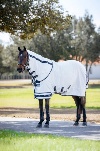 Fly Rug Arika White
