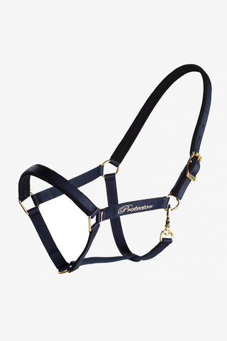 Halters Derry Navy