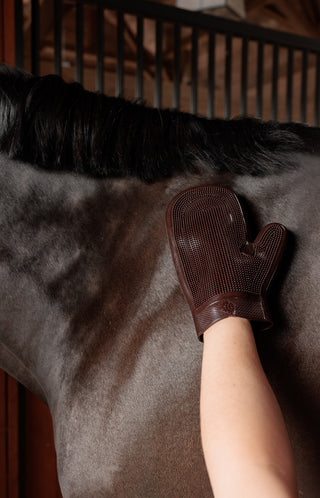 Grooming Deluxe Rubber Grooming Glove Brown