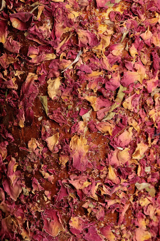 Träleksak Freedom Grön