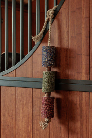 Träleksak Freedom Grön