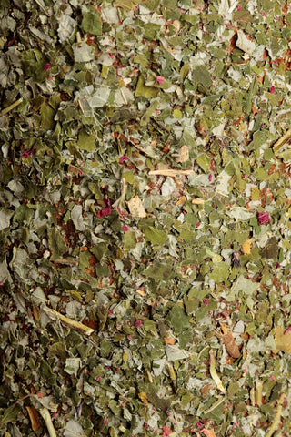 Träleksak Freedom Grön