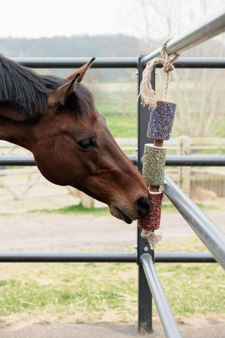 Träleksak Freedom Grön