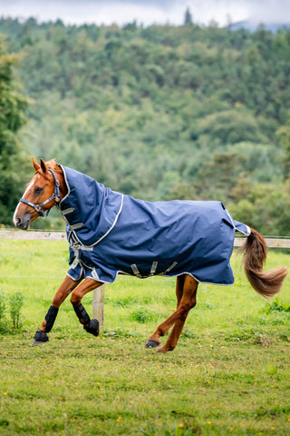 Amigo Winter Blanket 1200D plus 250g