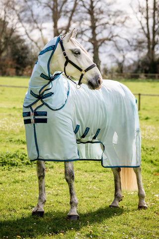 Amigo Fly Sheet + Neck Azure/Navy