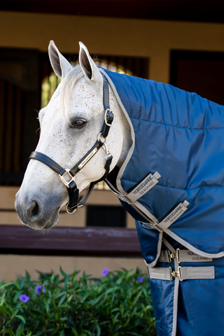 Amigo Insulator Hals 100g Navy/Titan