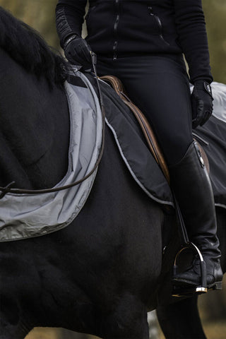 Brilliance Exercise Sheet Reflective