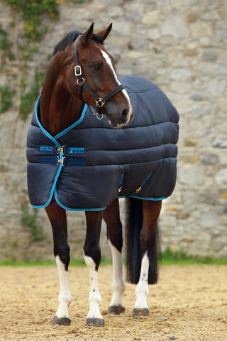 Amigo Insulator Plus 550g
