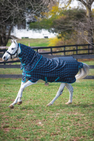 Amigo Plus Blanket Pony 50g