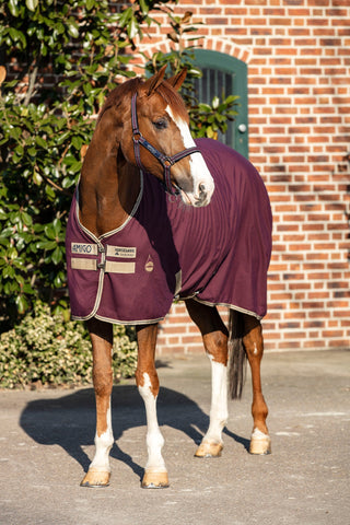 Amigo Stable Sheet X-Gjord