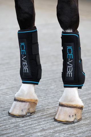 Ice-Vibe Kyldamasker