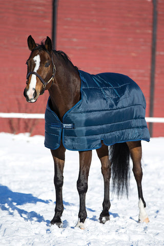 Liner Pony 100g