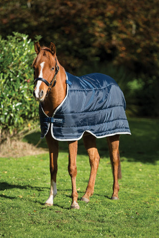 Liner Pony 100g