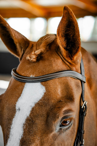 Horseware Micklem Competition Hoofdstel Dark Havana