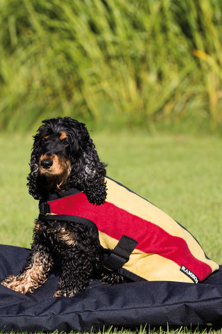 Rambo Deluxe Dog Blanket