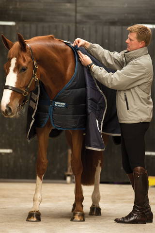 Liner Pony 100g
