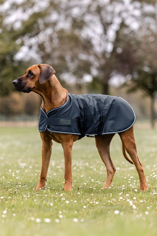Couverture de pluie pour chien Navy