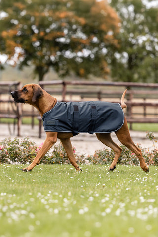 Hundtäcke Regn Navy