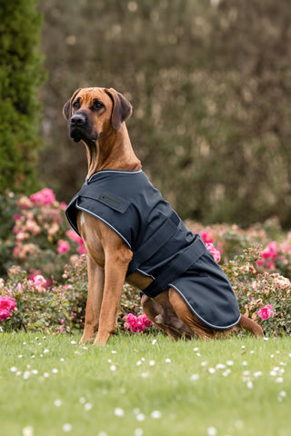 Hundtäcke Regn Navy