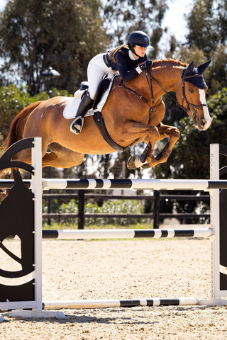 Saddle Pad Classic Jump