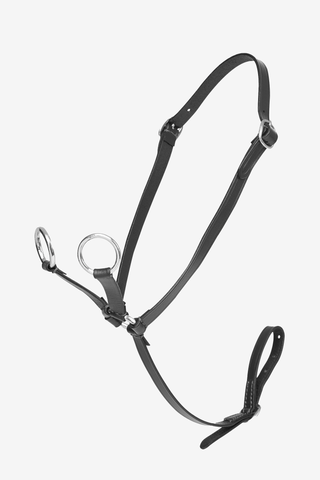 Toy Pony Martingale