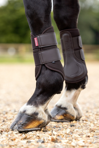 Siatkowe ochraniacze na nogi