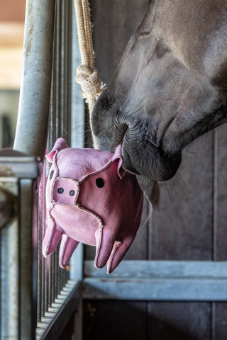 Pferdespielzeug Schwein