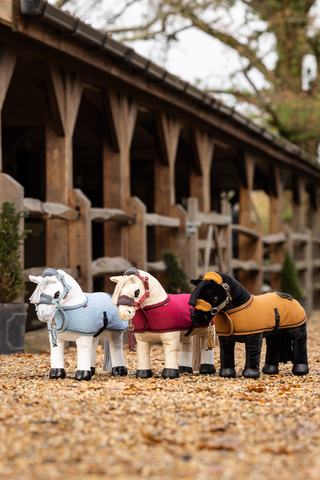 Toy Pony Blanket