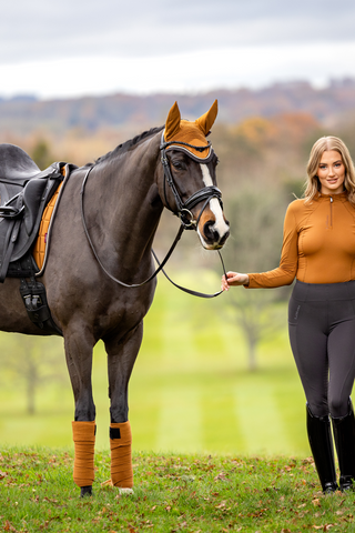 Base Layer Top