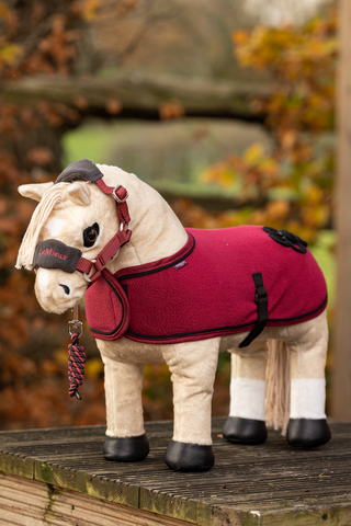 Toy Pony Blanket
