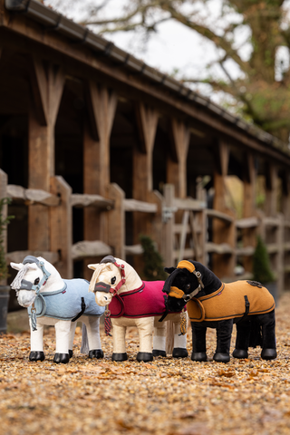Toy Pony Blanket