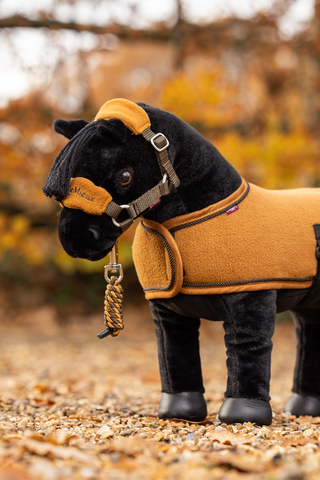 Toy Pony Blanket