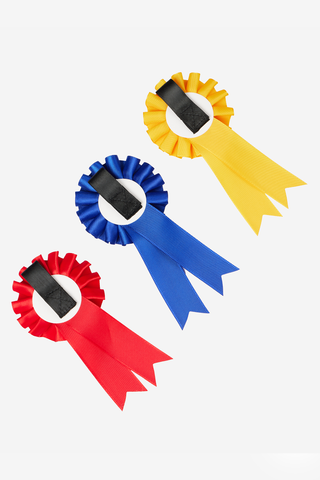 Toy Pony Rosette Package
