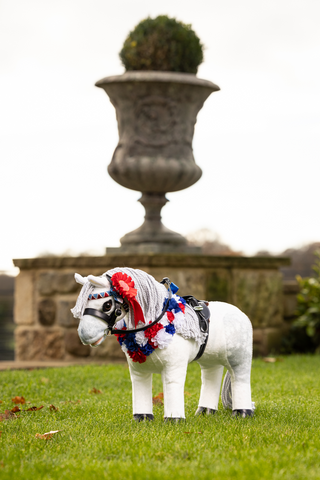 Toy Pony Rosette Package