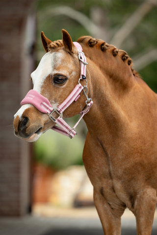 Mini Vogue Grime + Grimeskaft