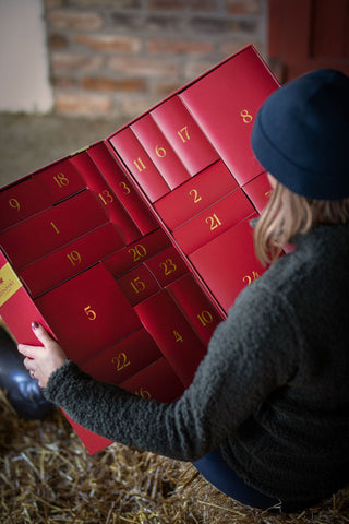 Adventskalender Box 2022