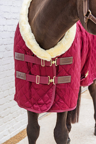 Show Rug Couverture d'écurie 160G Bordeaux