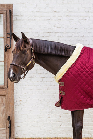 Show Rug Couverture d'écurie 160G Bordeaux
