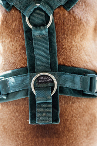 Active Velvet Hundesele