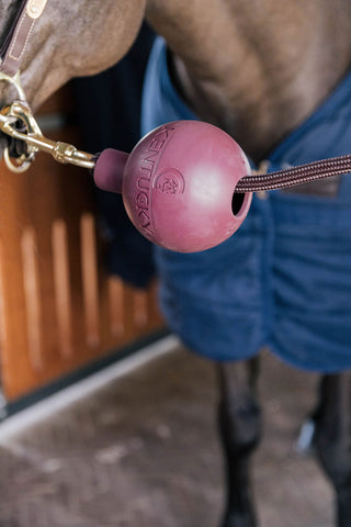 Ball Tether Protection