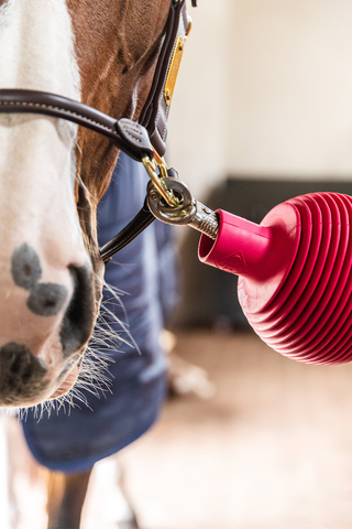 Boll Anbindeschutz Pro Rosa