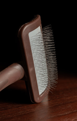 Szczotka Do Rzepów Brązowa